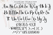 Shopia, a Handwritten Font by InermediaSTUDIO (Thumbnail 4 of 7)