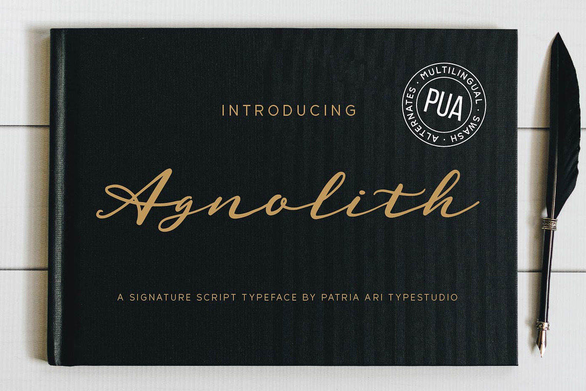 Agnolith - Signature Script Fonts, a Script Font by Patria Ari (P4tcreativa) (Photo 1 of 10)