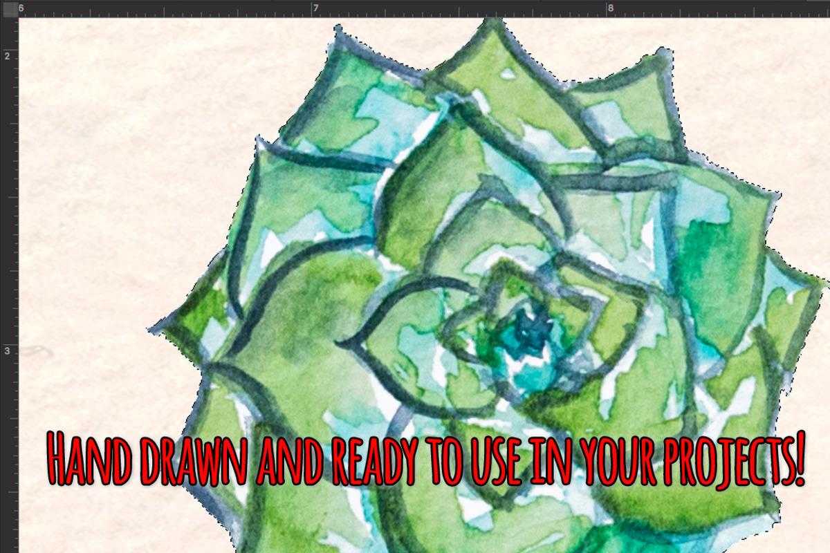 24 Cactus and Succulent Watercolors, a Seasonal Illustration by Violet LeBeaux (Photo 2 of 3)