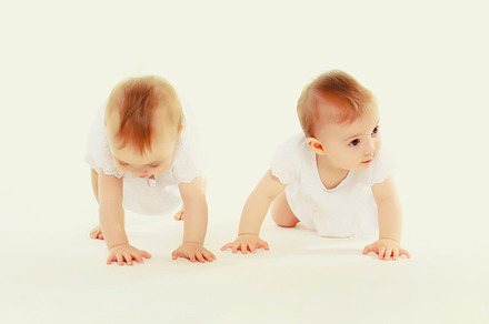 cute two twin babies crawling and pl, a Person Photo by Rohappy