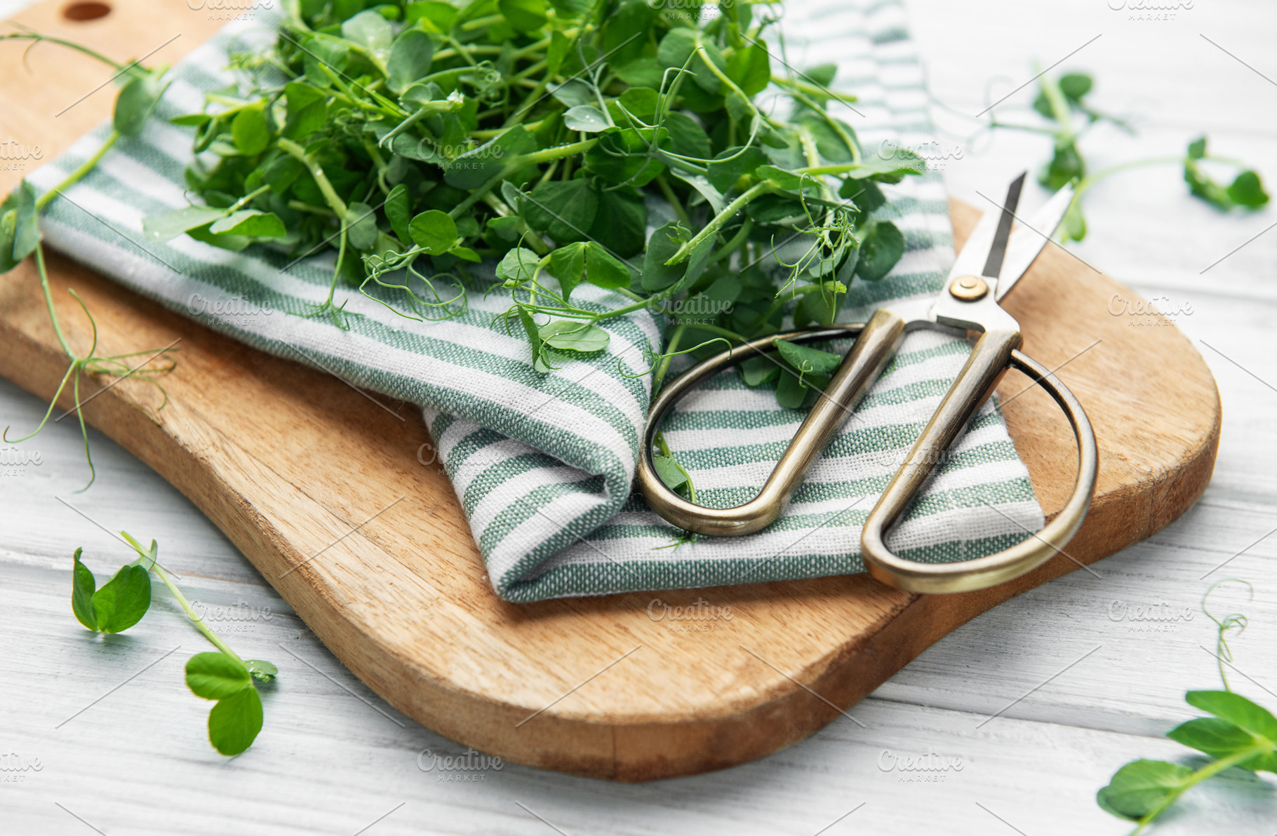 Fresh green pea microgreens on wooden board with scissors, a Food & Drink Photo by Olena Rudo