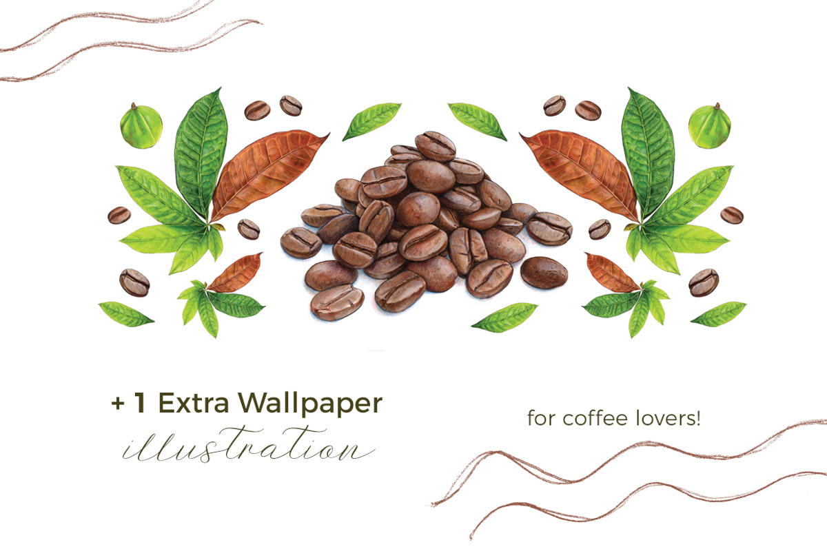 Coffee Beans & Nuts | 7 Cliparts, a Food Illustration by Miriam Figueras (Photo 4 of 4)