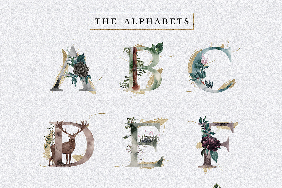 Into The Wild, an Animal Illustration by AurAandTheCat (Photo 10 of 30)