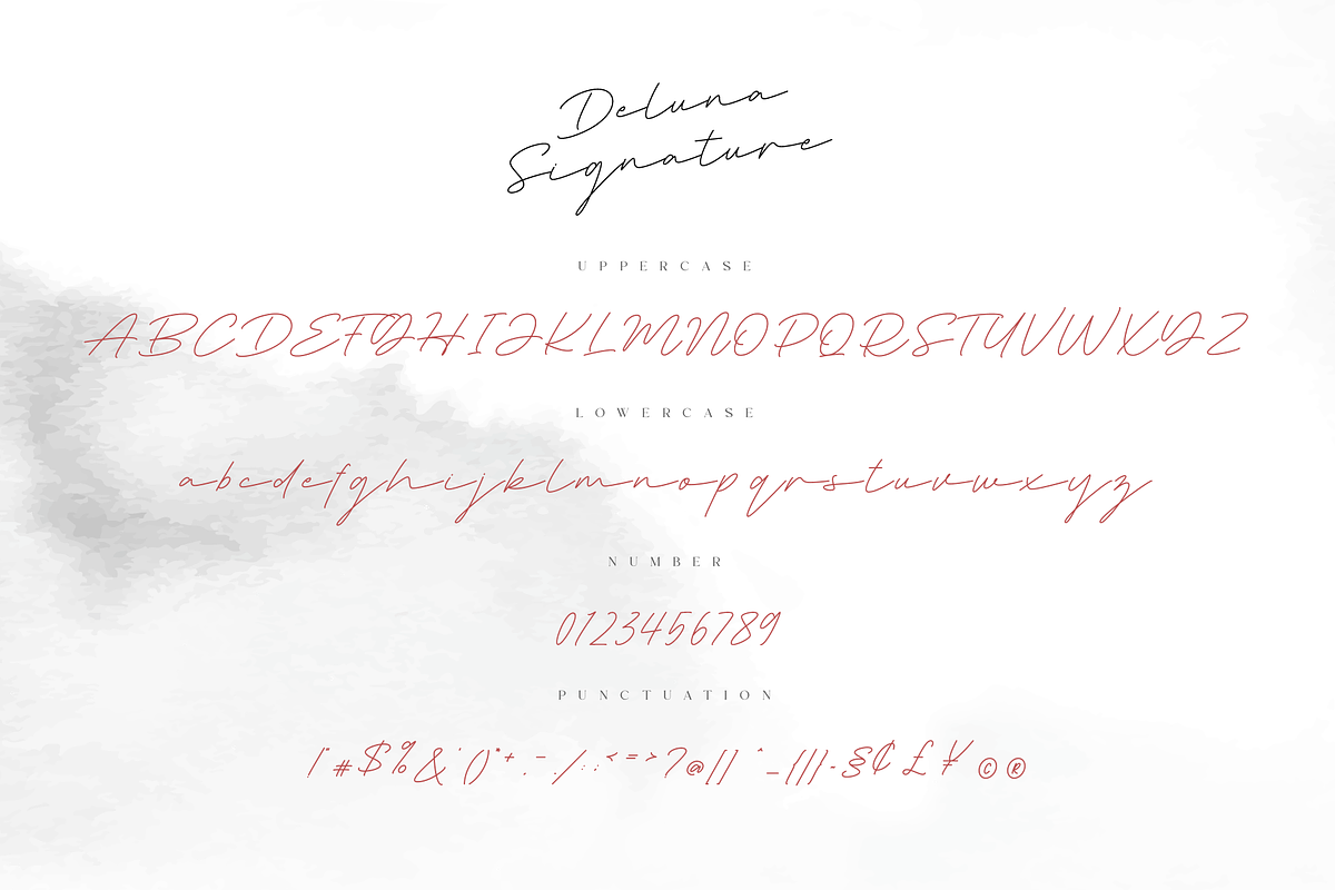 Deluna Signature Font, a Script Font by Pen Culture (Photo 9 of 10)