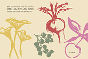 Organic Market 116 Ink Illustrations, a Food Illustration by Veyla (Thumbnail 11 of 15)