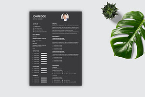 Minimal Modern Resume Template