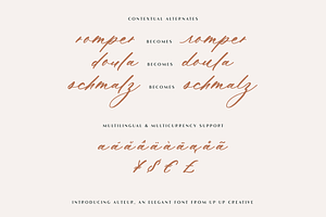 Auteur Calligraphy Script Font