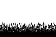 Harvest Wheat Border Designs, an Illustration by Creativeshirt (Thumbnail 3 of 9)