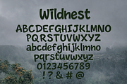 Wildnest Natural Handwritten Font, a Handwritten Font by cocodesign (Thumbnail 8 of 8)