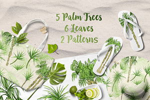 Tropicana - Palm Trees & Leaves Set