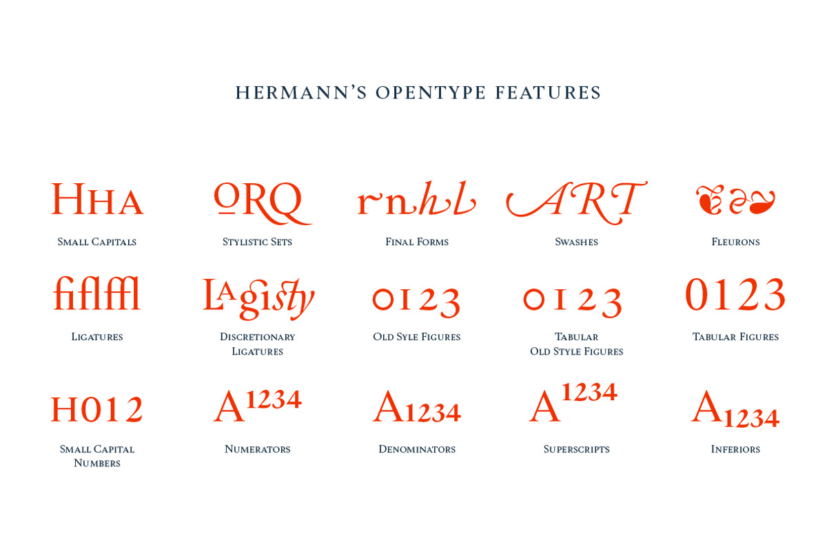Hermann preview 4