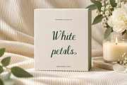 Sylva Belle Modern Calligraphy, a Script Font by Colorsfav (Thumbnail 5 of 10)