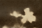 Earthy Mystical Texture Backgrounds, a Texture Graphic by Allure Art (Thumbnail 8 of 28)