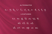 Kristela Conelly, a Script Font by Integritype Studio (Thumbnail 11 of 14)