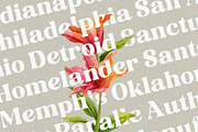 Folker Typeface, a Serif Font by Megatype (Thumbnail 3 of 15)
