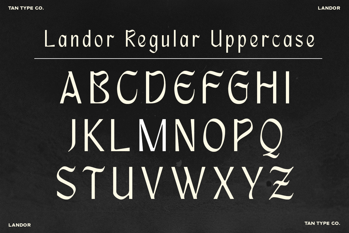 TAN - LANDOR, a Blackletter Font by TanType (Photo 10 of 14)
