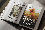 Mongela - Elegant Serif, a Serif Font by Novitype (Thumbnail 8 of 14)