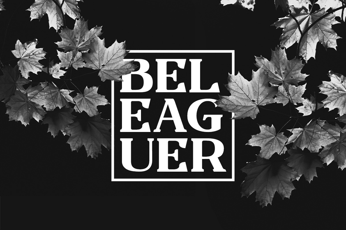 Fogie - Serif Family, a Serif Font by din-studio.com (Photo 11 of 21)