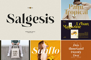 SALE! Modern & Stylish Serif Font