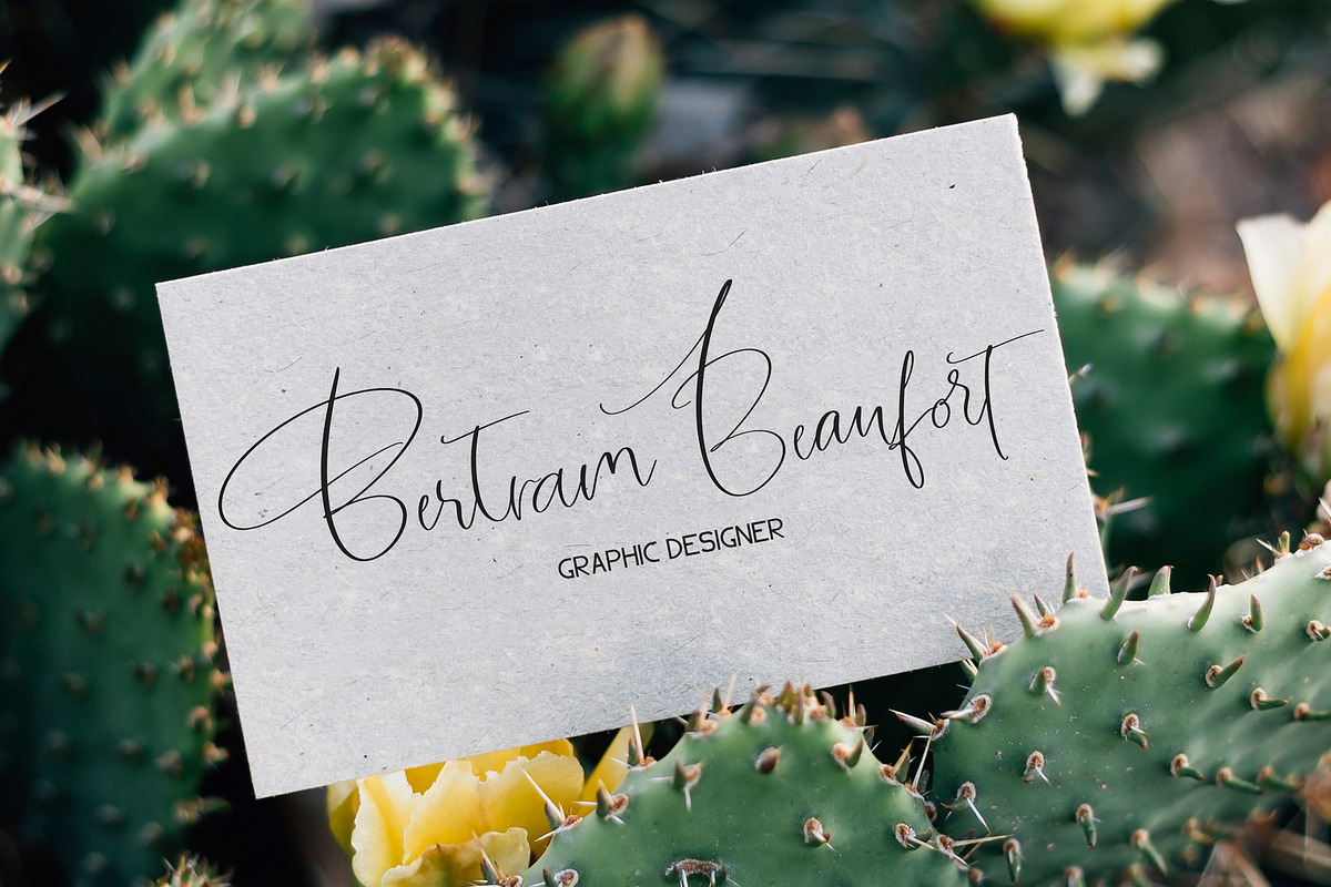 Garnet Night Font Duo, a Script Font by CallMeStasia (Photo 6 of 18)