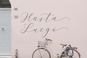 Antara Script Wedding Font, a Script Font by AQR Studio (Thumbnail 9 of 9)