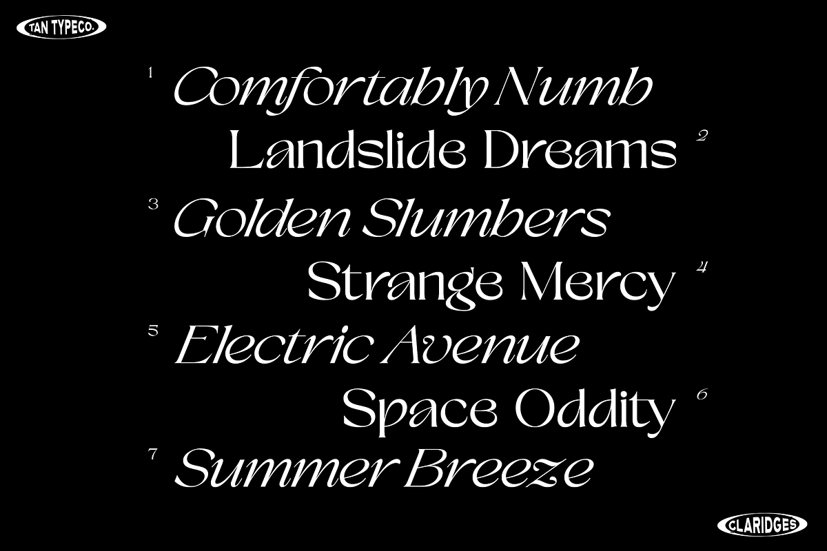 TAN - CLARIDGES, a Font by TanType (Photo 2 of 13)