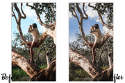 Travel Instagram Blogger Preset, a Preset Add-On by Design Aesthetic (Thumbnail 3 of 5)