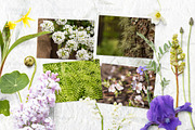 Spring Flower Props & Cardset Mockup, a Product Mockup by JSquarePresents (Thumbnail 9 of 9)