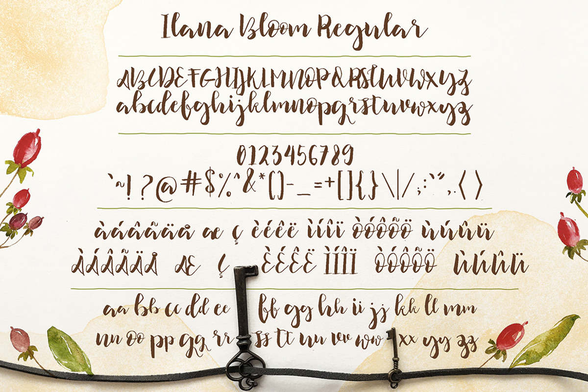 Ilana Bloom Script preview 5