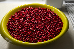 Cranberries on a plate
