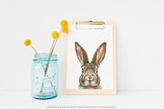 Watercolor Easter Bunny Creator, an Animal Illustration by Catherine Wheel (Thumbnail 5 of 15)