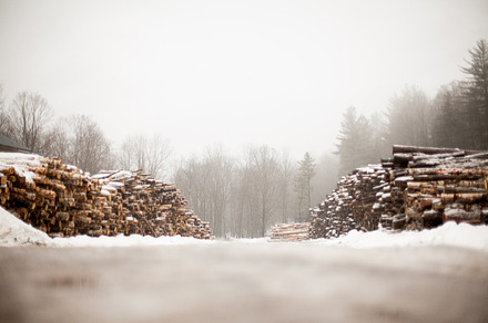 Winter Snow Scene with Logs