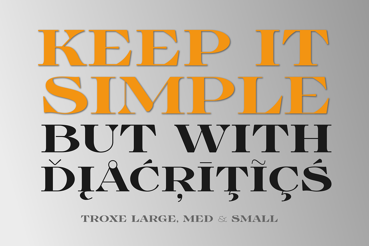 TroxeLMS, a Serif Font by glukfonts (Photo 9 of 9)