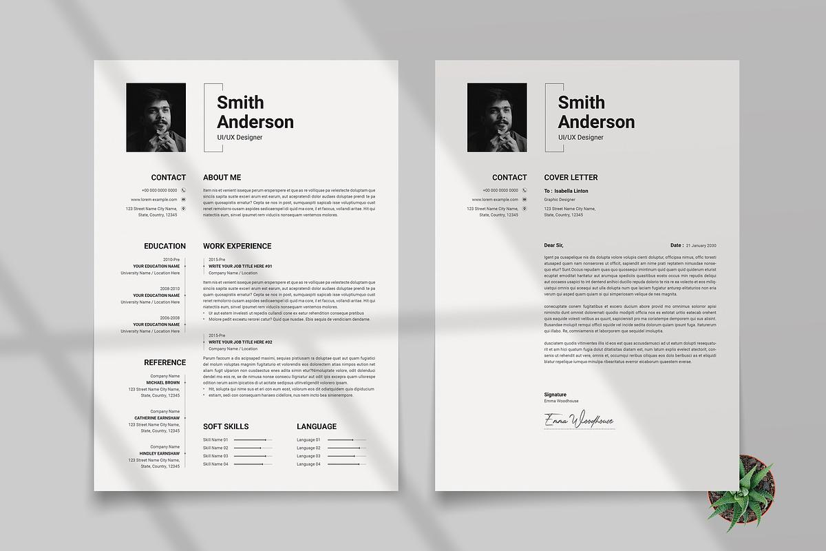 Professional Resume and Cover Letter preview 2