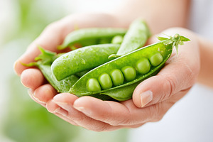 Fresh green peas in a pod, a Food & Drink Photo by AlyaAnd