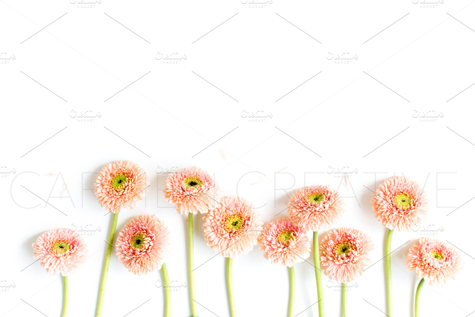 Floral Stock Photography, a Background Photo by CarmenCreativeStudio