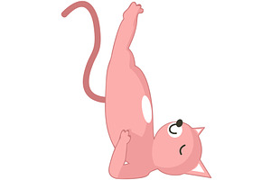Yoga cat in sarvangasana birch pose