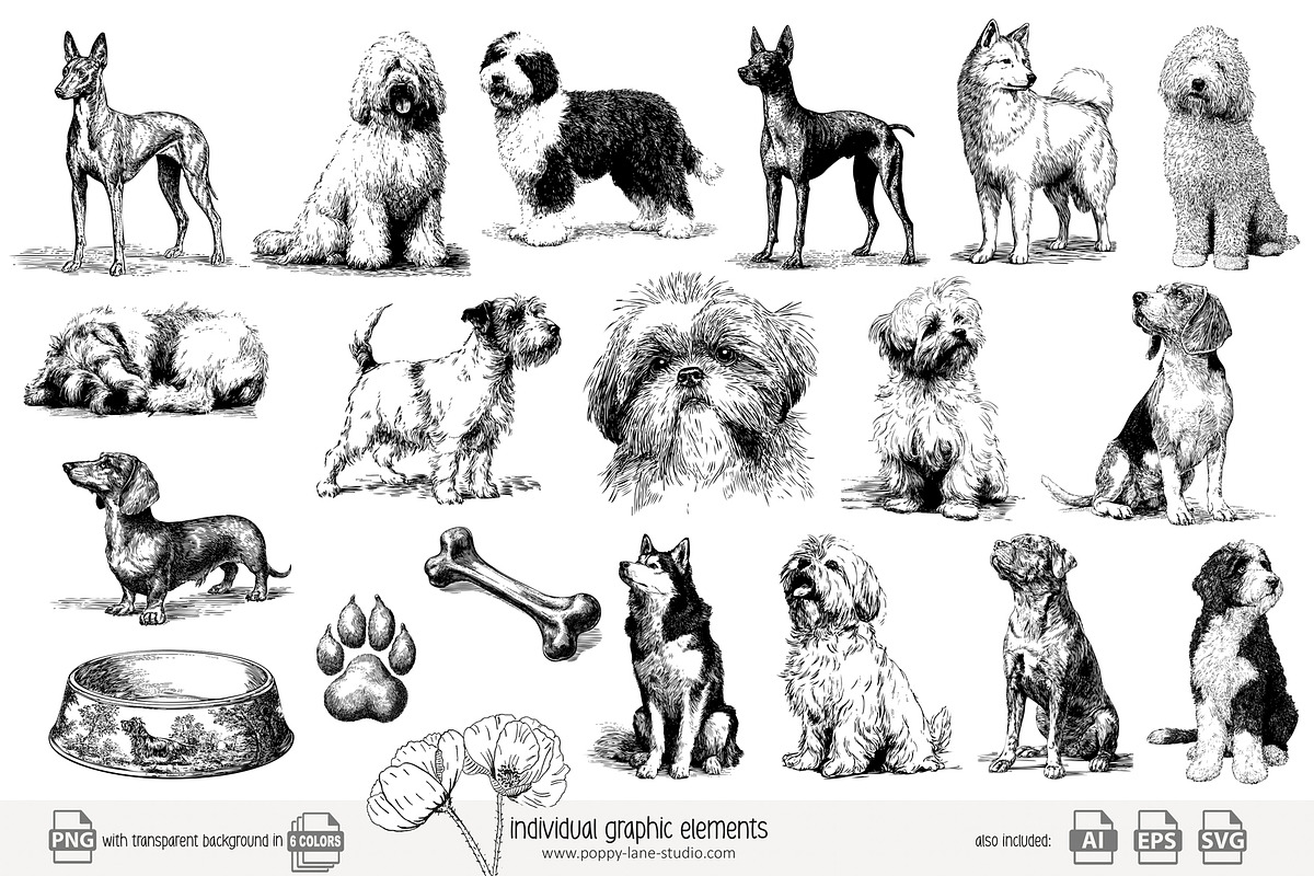 95 line art Dogs clip art, an Animal Illustration by Poppy Lane Studio (Photo 7 of 11)
