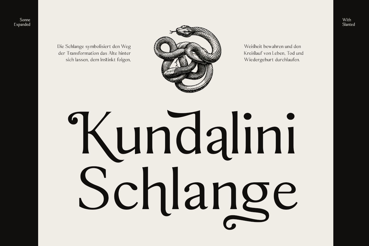 Sonne | 12 Fonts, a Serif Font by Skinny Type (Photo 2 of 11)