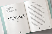 TT Ricordi Marmo, a Serif Font by TypeType (Thumbnail 14 of 15)