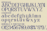 Generating Metaphors - Elegant Serif, a Serif Font by 177Studio (Thumbnail 8 of 8)