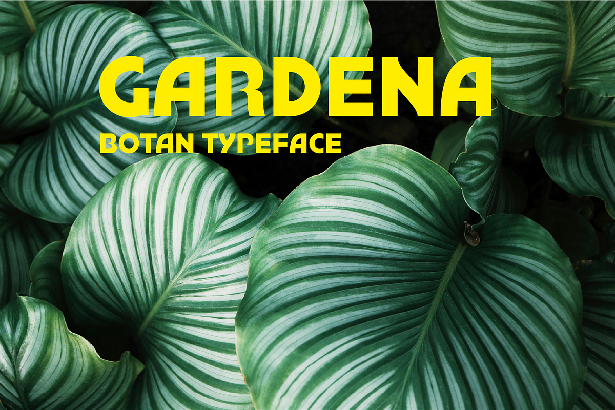 Botan All Caps Display Sans, a Font by PeanutButter Type (Photo 7 of 7)