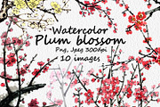 Watercolor clipart of blossom plum, a Decorative Illustration by ViktoriArt (Thumbnail 1 of 11)