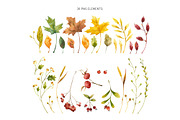 Autumn leaves. Fall clipart, an Object Graphic by Valin Malin (Thumbnail 2 of 5)