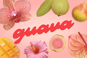 Guava - Juicy Script