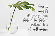 Rumba Script, a Script Font by supfonts (Thumbnail 4 of 5)