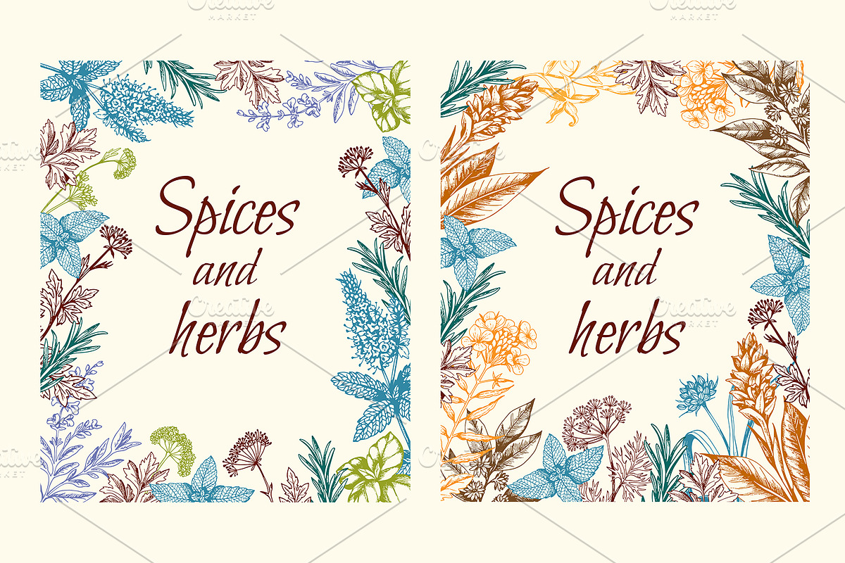 Vintage Spices and Herbs Design Kit, a Food Illustration by Artspace (Photo 5 of 8)