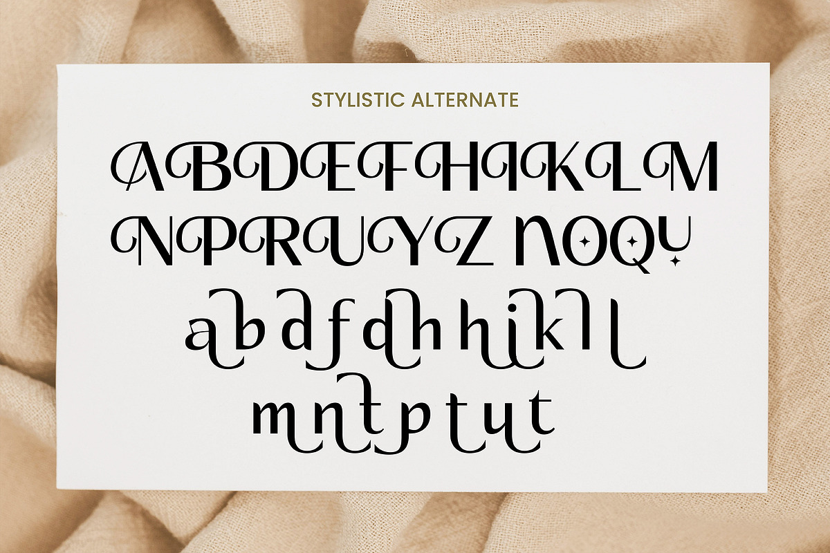 Helliona, a Serif Font by studiobasic (Photo 3 of 8)