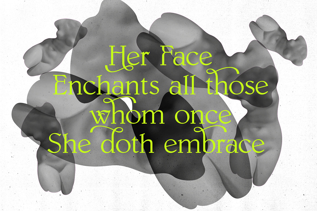 Paxxx | Lux serif, a Serif Font by Drawwwn (Photo 8 of 12)