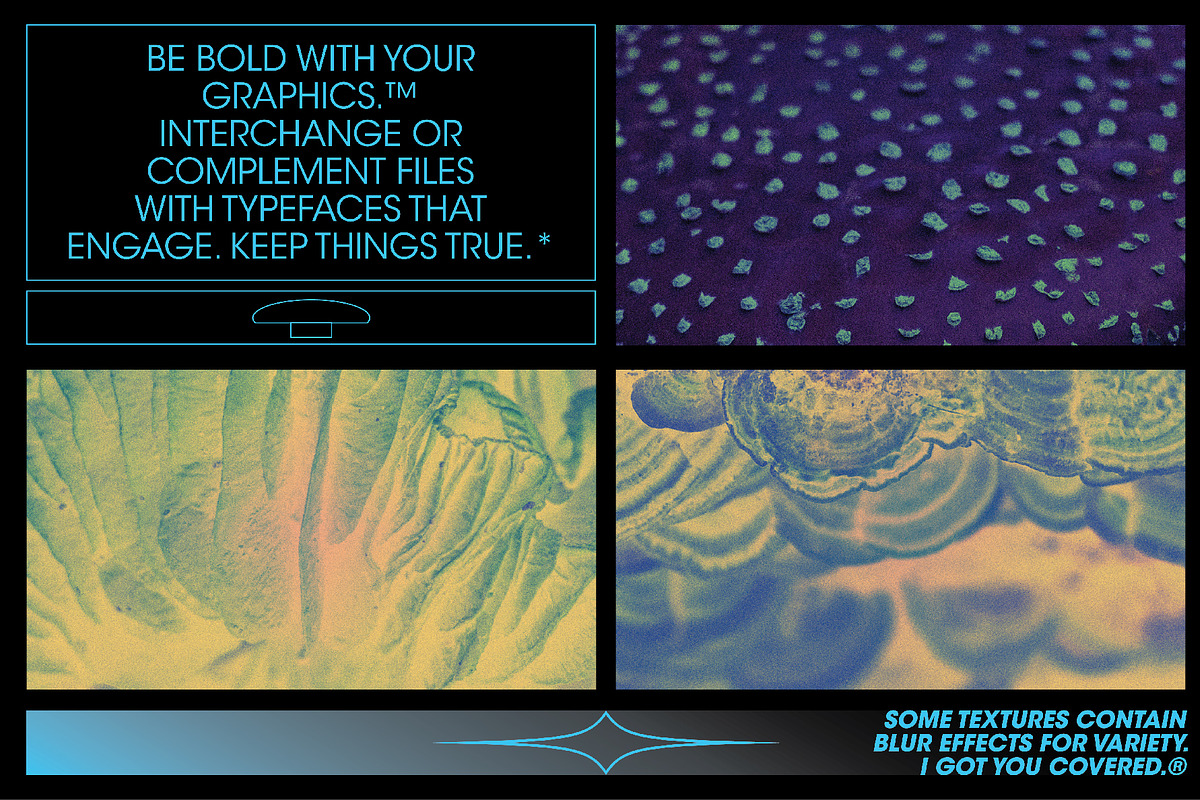 Fungi Textures, a Texture Graphic by Kapoor Design Empire (Photo 8 of 8)